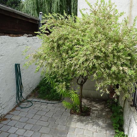 Mur 4 - Apartament Z Patio Торунь Экстерьер фото
