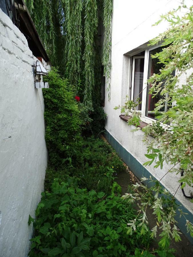 Mur 4 - Apartament Z Patio Торунь Экстерьер фото