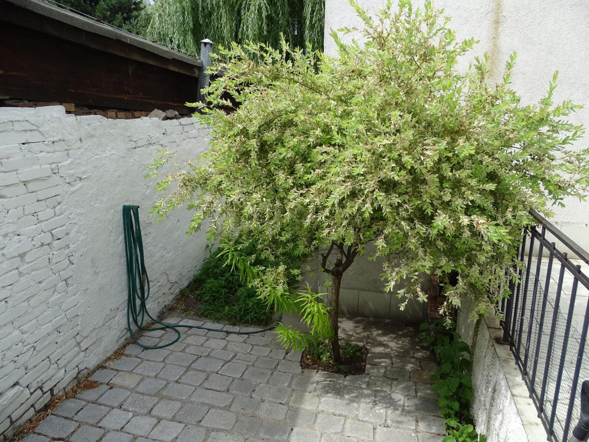 Mur 4 - Apartament Z Patio Торунь Экстерьер фото